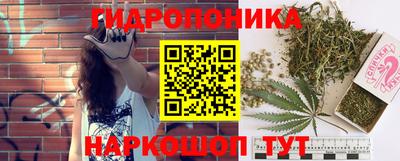 альфа пвп Краснознаменск
