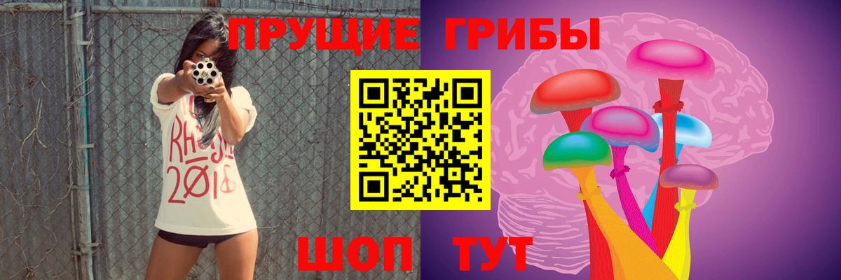 Галлюциногенные грибы Magic Shrooms  Вход с VPN  Тобольск 
